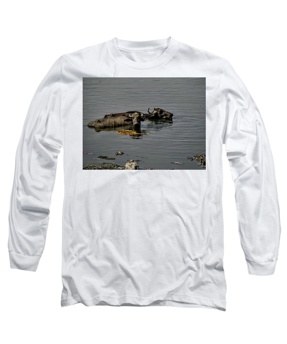  Long Sleeve T-Shirt featuring the photograph Water Buffalo-India by Duncan Davies