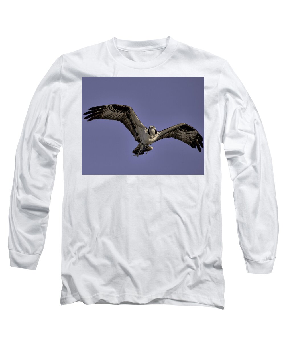Osprey Long Sleeve T-Shirt featuring the photograph We're Almost There by Joe Granita
