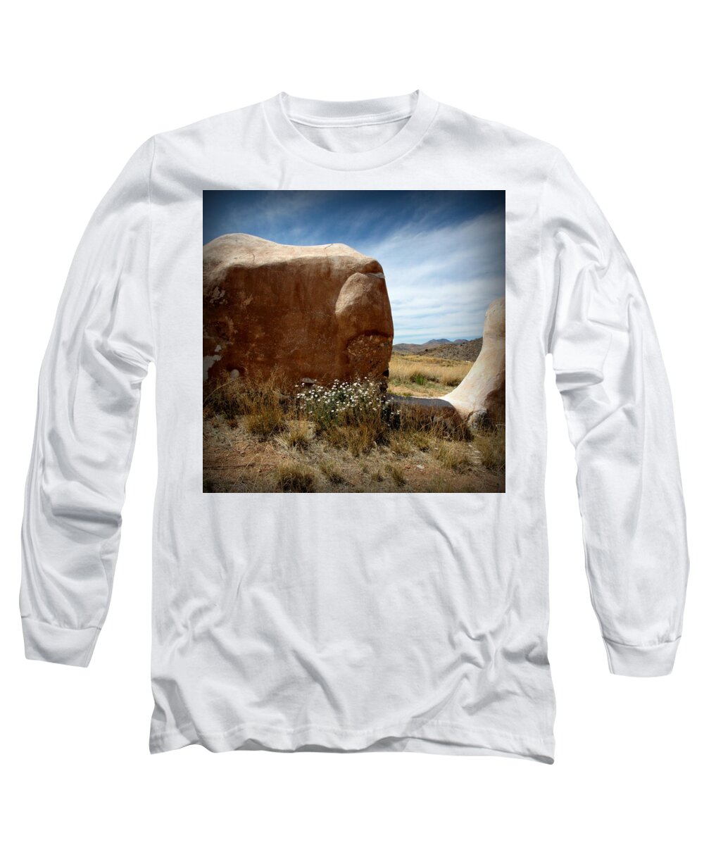 Fort Long Sleeve T-Shirt featuring the photograph Where Have All The Flowers Gone by Joe Kozlowski