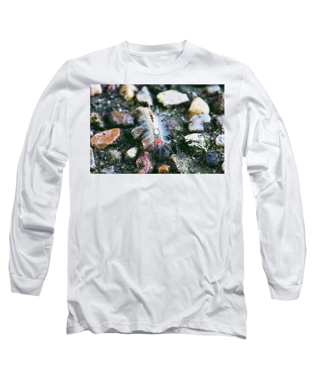 White Marked Tussock Moth Caterpillar Long Sleeve T-Shirt featuring the photograph White Marked Tussock Moth Caterpillar by Josh Bryant
