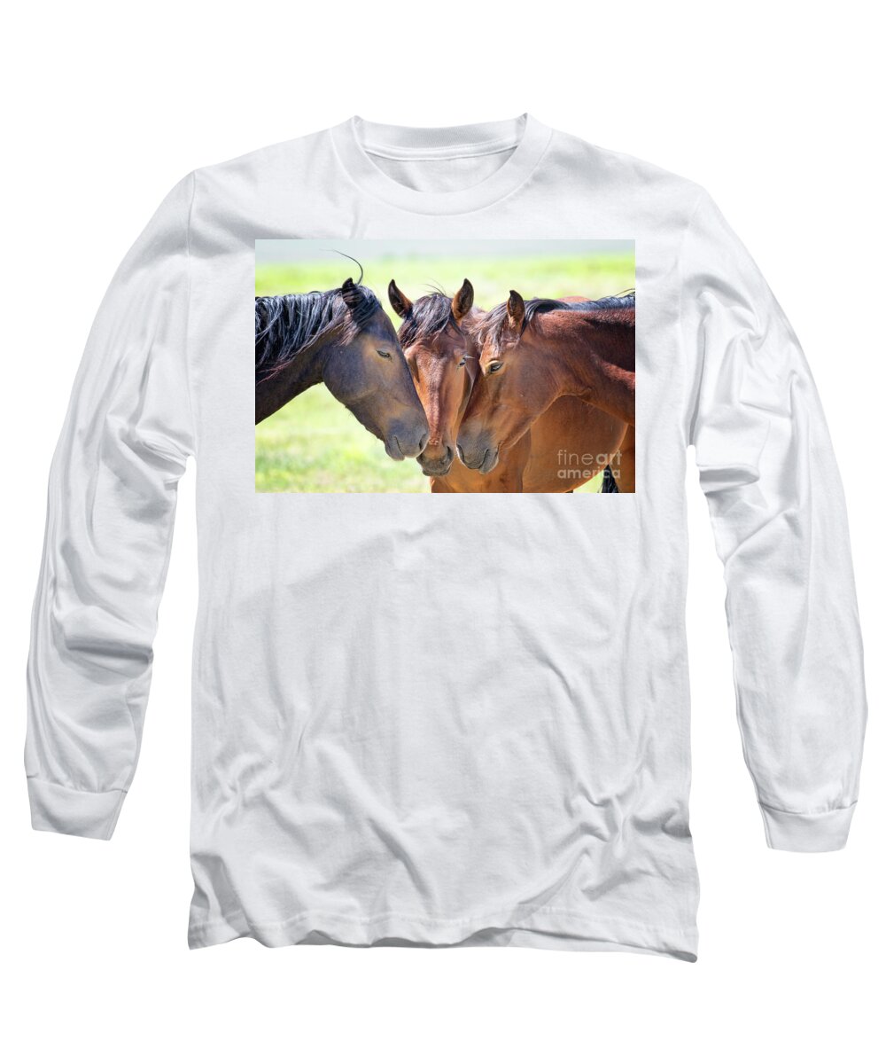 Eastern Sierra Long Sleeve T-Shirt featuring the photograph Wild Mustang Family by Mimi Ditchie