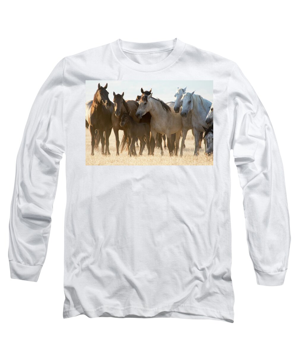 Wild Horses Long Sleeve T-Shirt featuring the photograph Wild Mustangs by Wesley Aston