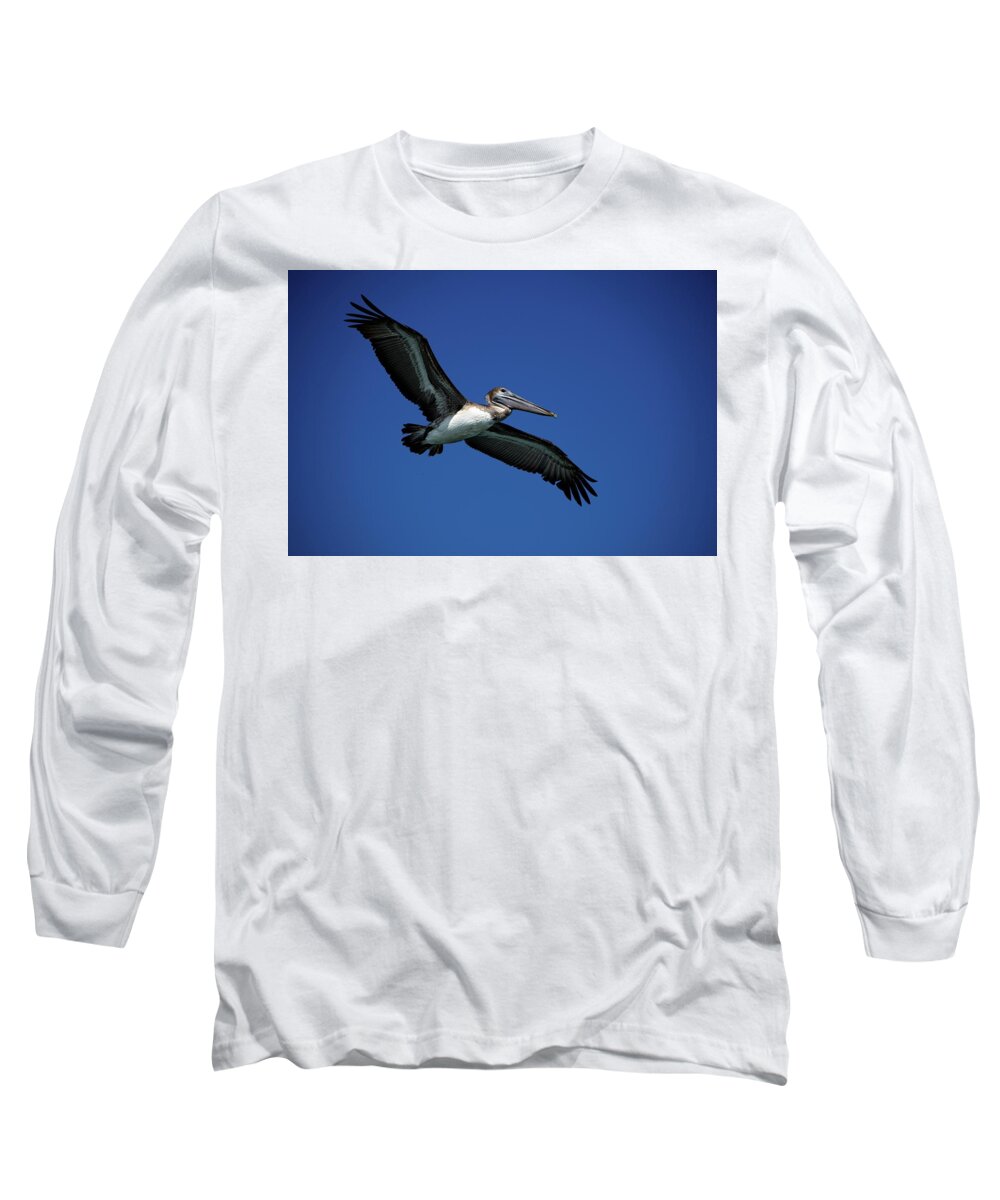 Birds Long Sleeve T-Shirt featuring the photograph Wildlife in Mexico #3 by Robert Grac