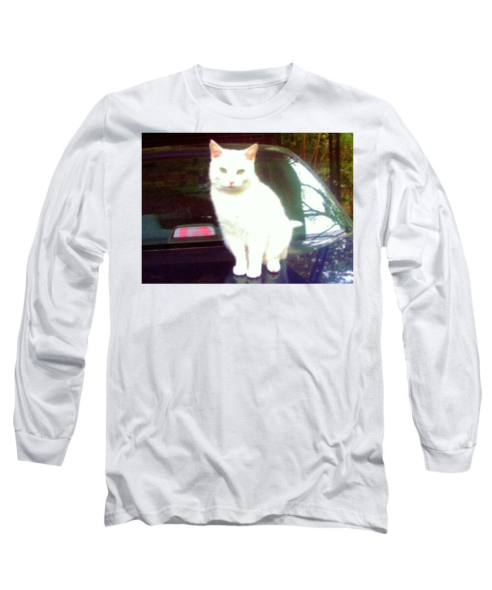 Cat Long Sleeve T-Shirt featuring the photograph Will Wash Car For Treats by Denise F Fulmer