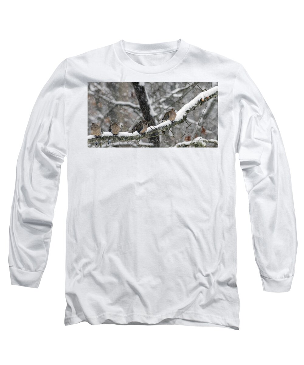 Winter Doves Long Sleeve T-Shirt featuring the photograph Winter Doves by Diane Giurco