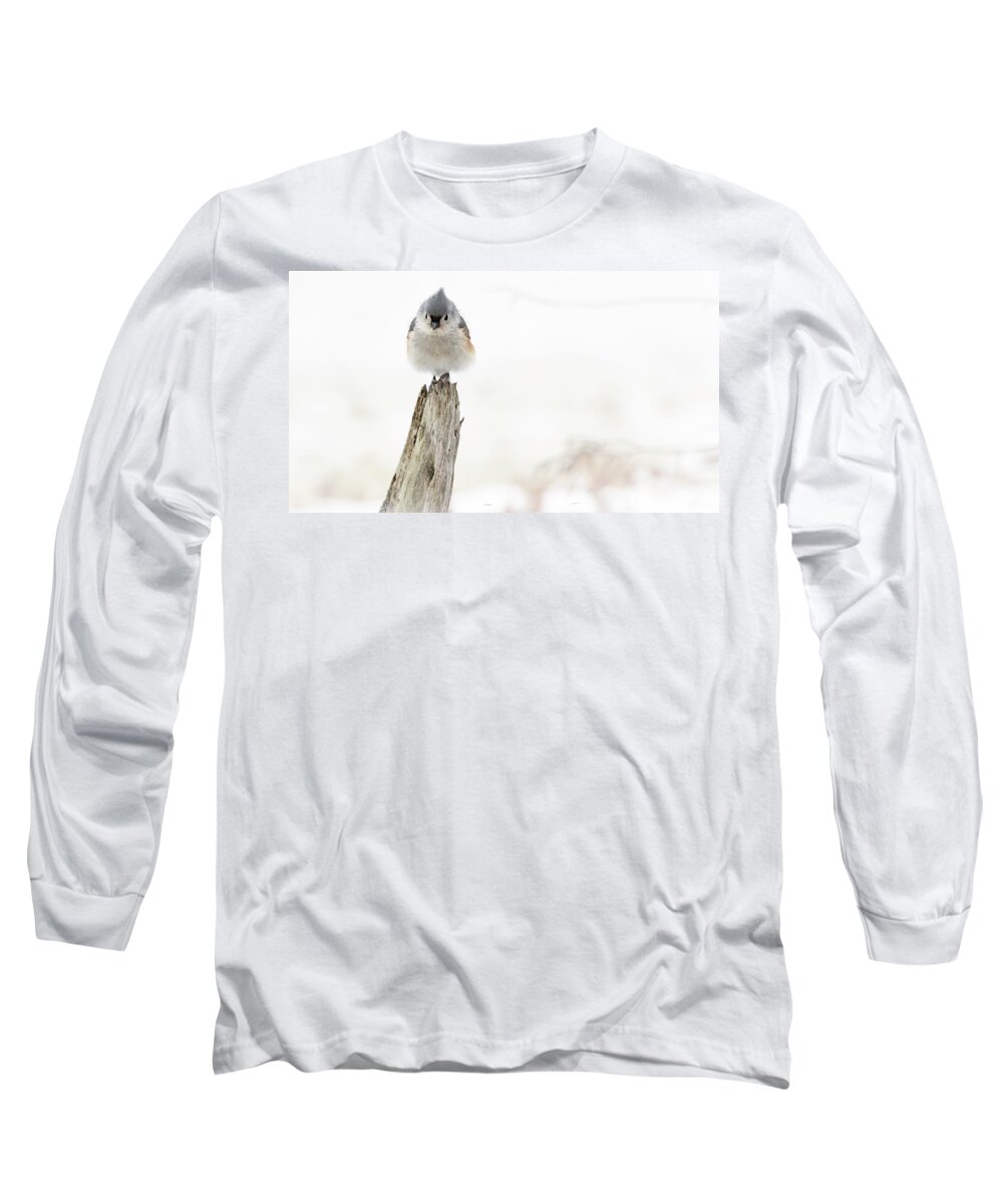 Bird Long Sleeve T-Shirt featuring the photograph Winter Visit by Holly Ross