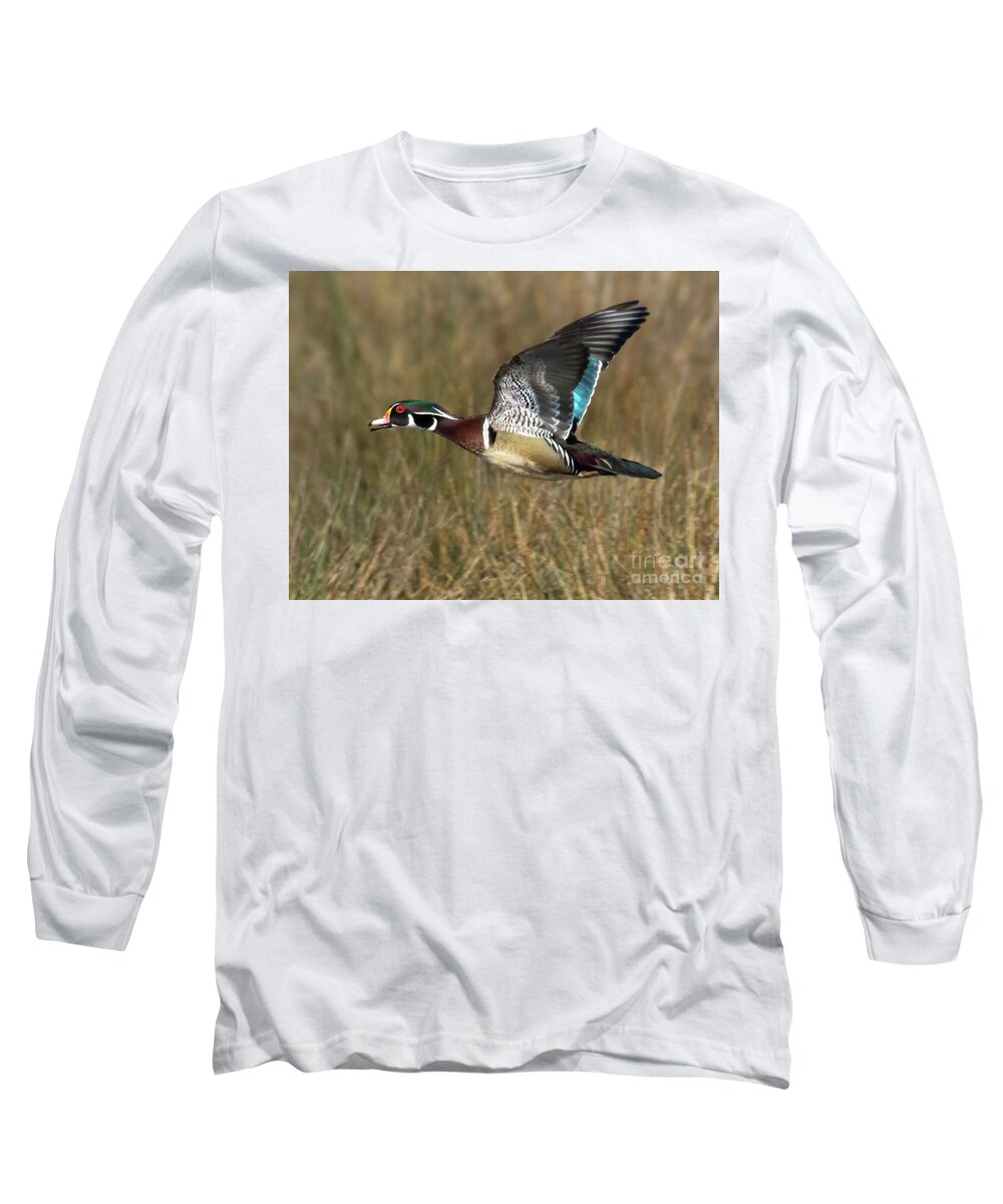 Animals Long Sleeve T-Shirt featuring the photograph Wood Duck Flight by Art Cole