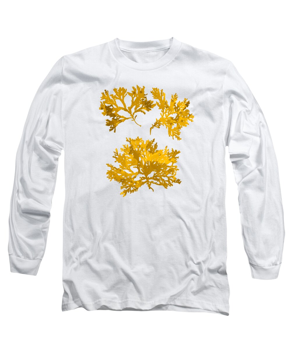Seaweed Long Sleeve T-Shirt featuring the mixed media Gold Seaweed Art Delesseria Alata by Christina Rollo