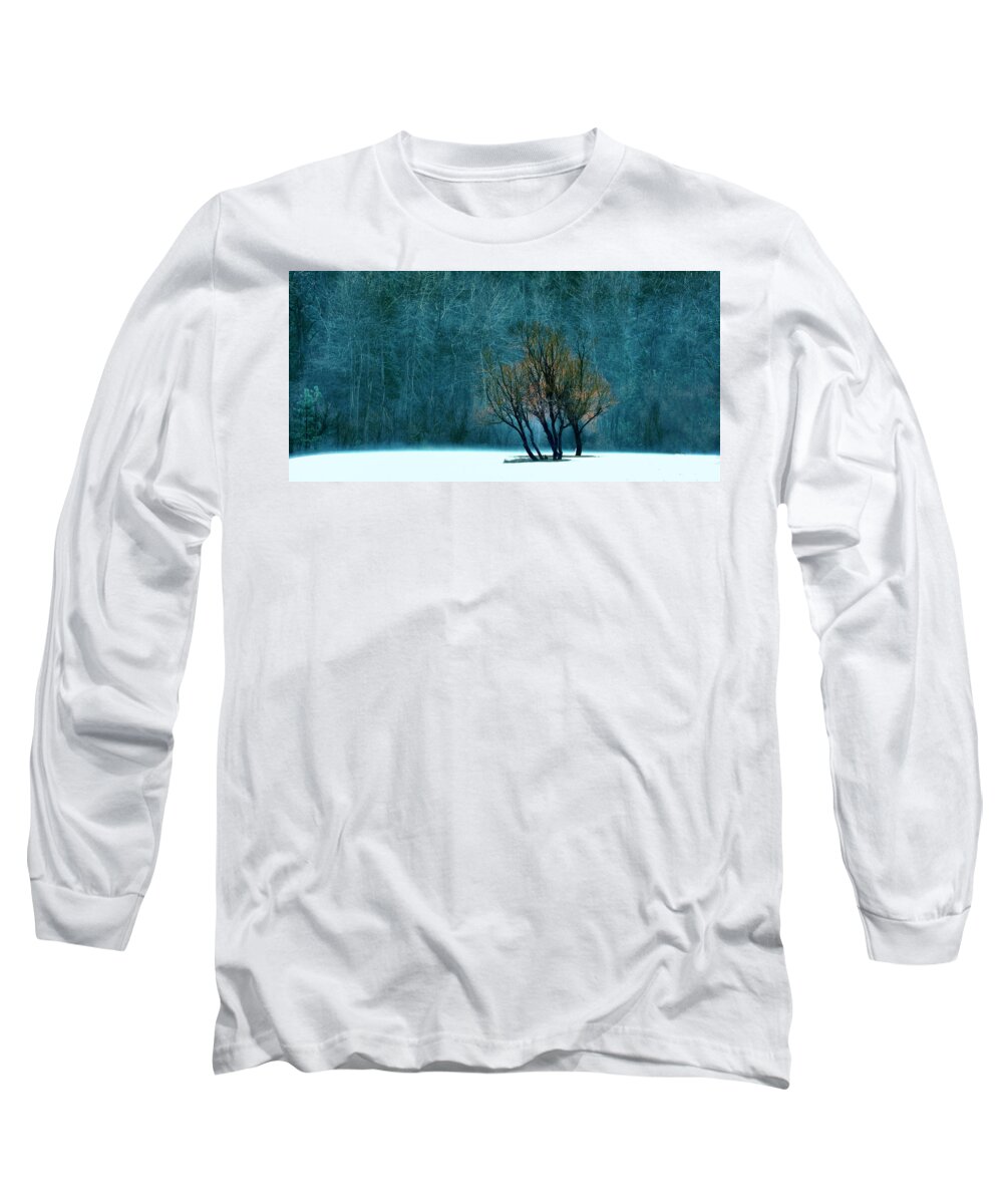 Trees Long Sleeve T-Shirt featuring the photograph Yosemite's Winter Stage by Josephine Buschman