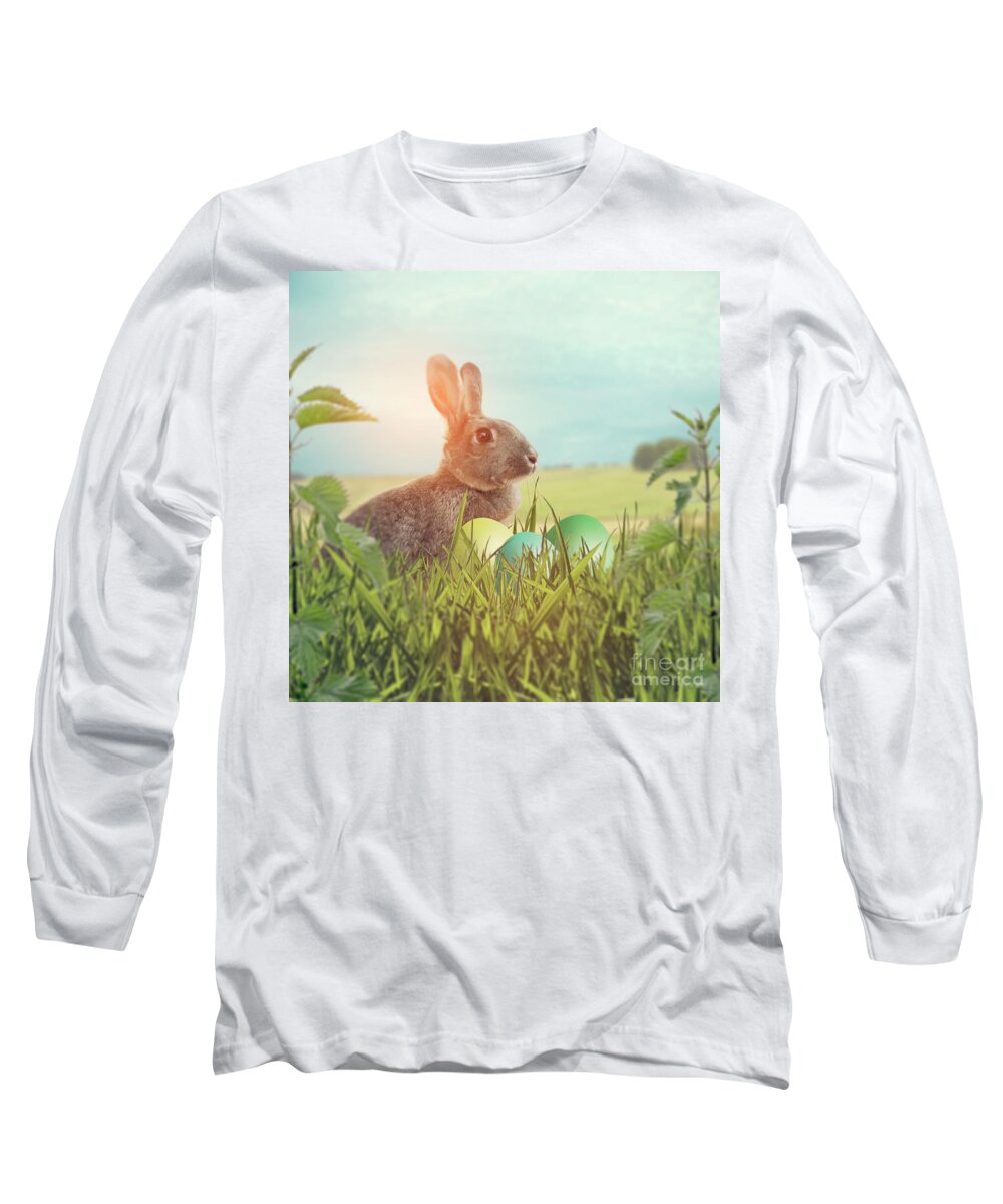 Easter Long Sleeve T-Shirt featuring the photograph Easter Bunny With Easter eggs on A Bed Of Grass #2 by Ethiriel Photography