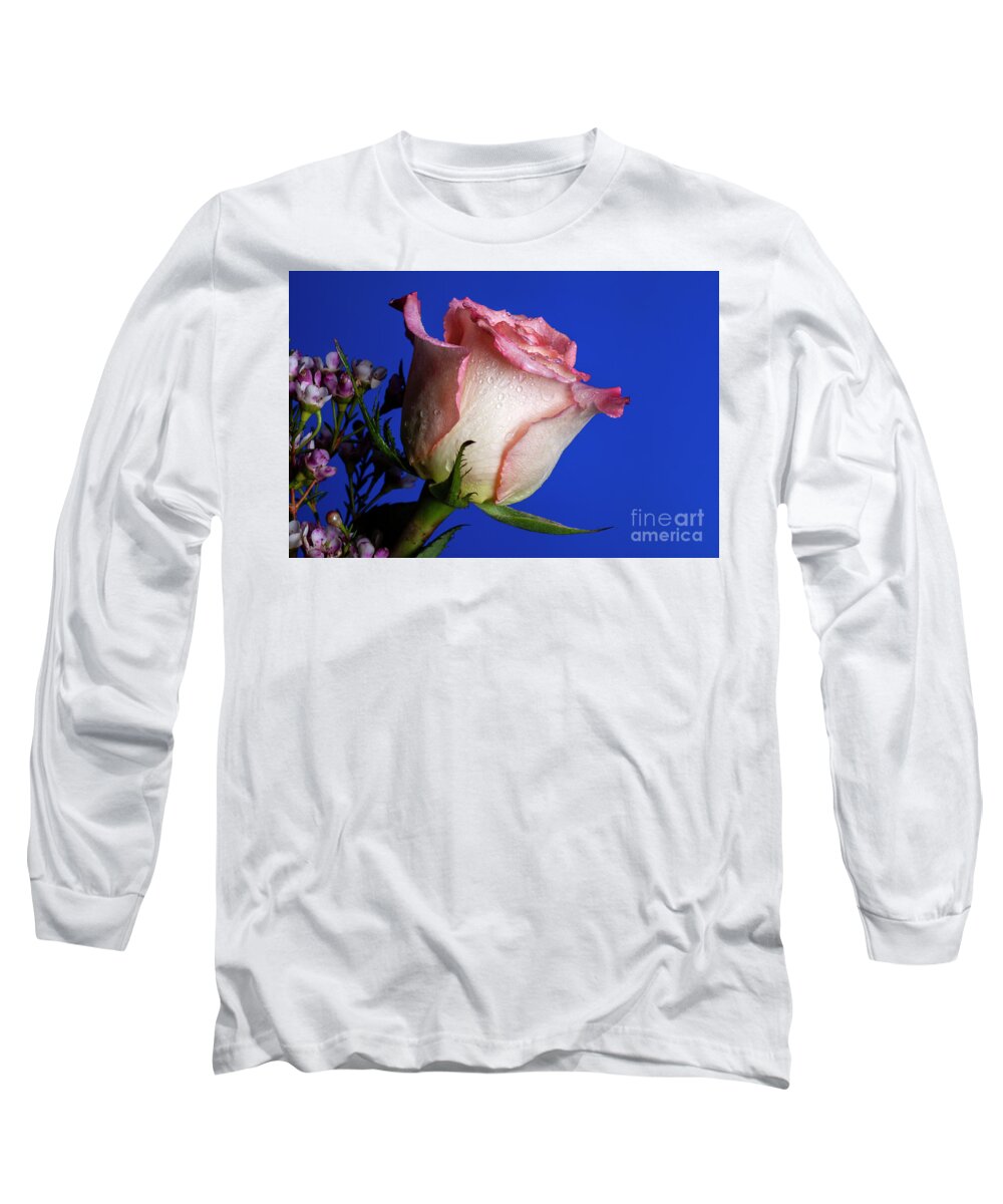 Rose Long Sleeve T-Shirt featuring the photograph Friendship #1 by Doug Norkum