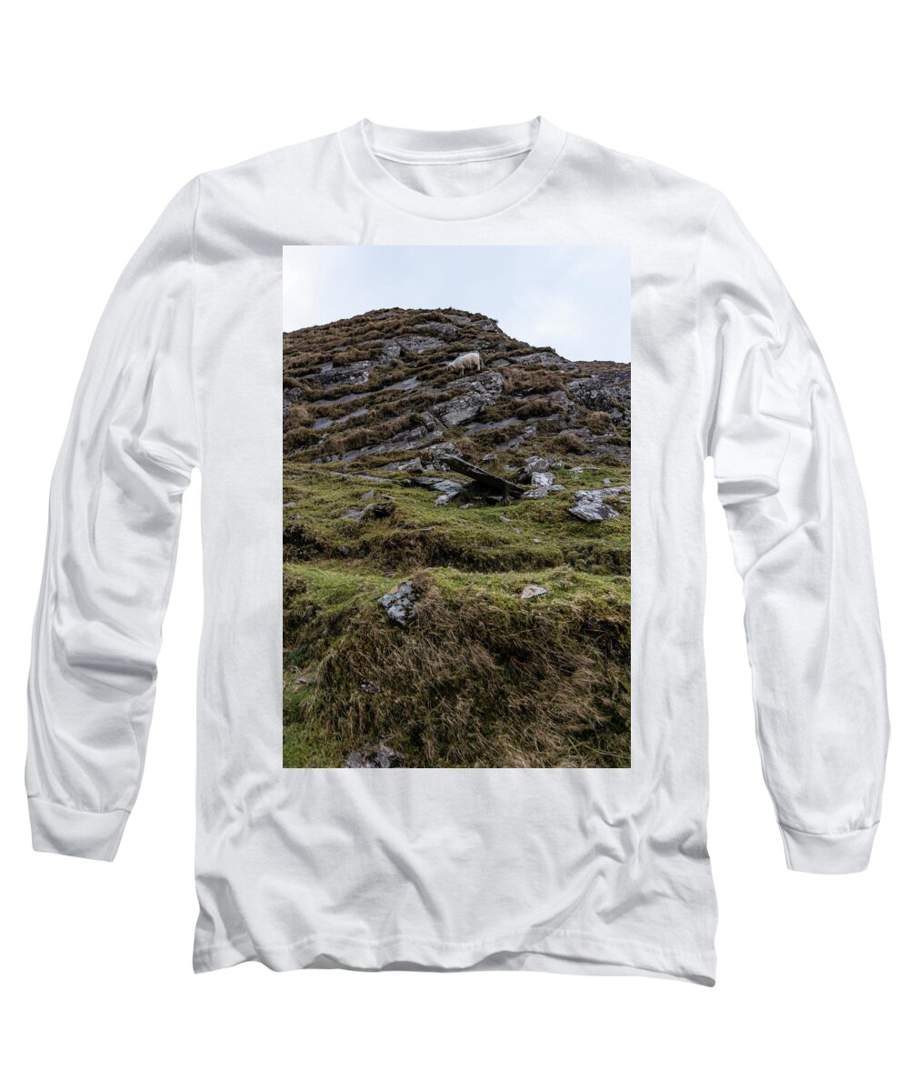 Ballaghisheen Pass Long Sleeve T-Shirt featuring the photograph A Sheep on the Move Ireland by John McGraw