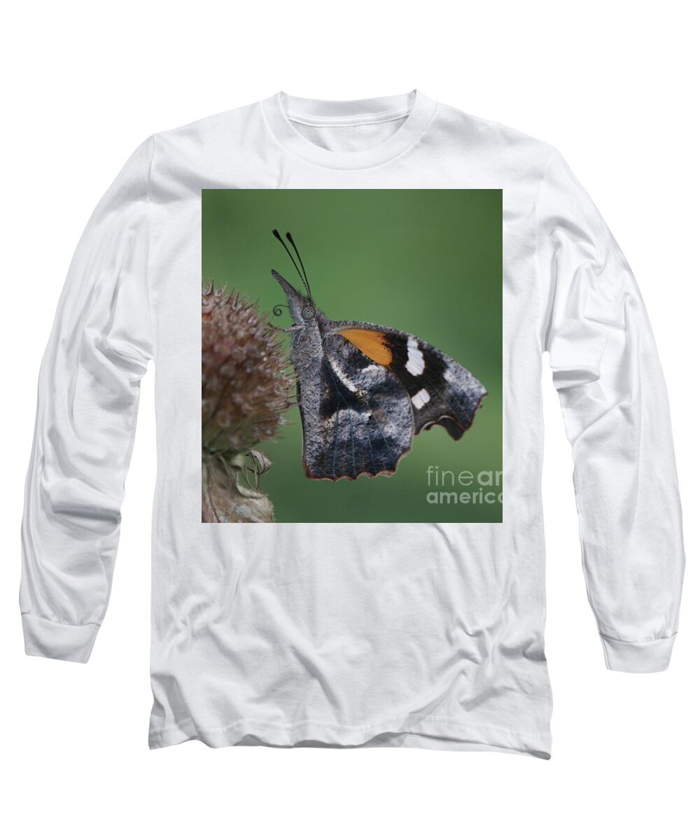 American Snout Butterfly Long Sleeve T-Shirt featuring the photograph American Snout Butterfly on Bee Balm Seed Head by Robert E Alter Reflections of Infinity
