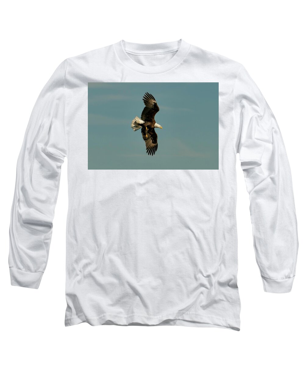 Bald Eagle Long Sleeve T-Shirt featuring the photograph Bald Eagle in Flight by Sandra J's