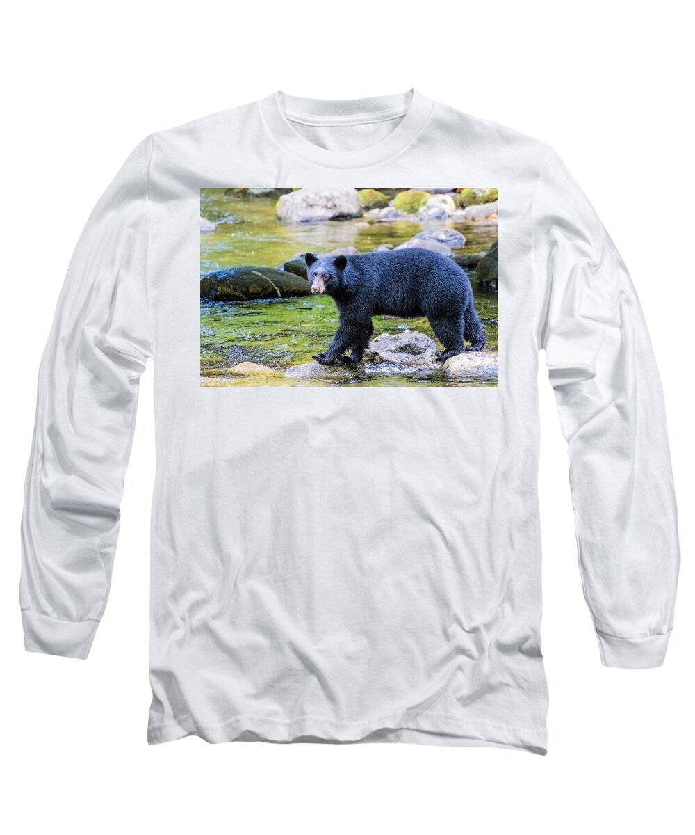 Black Bear Long Sleeve T-Shirt featuring the photograph Bear Crossing by Michelle Pennell