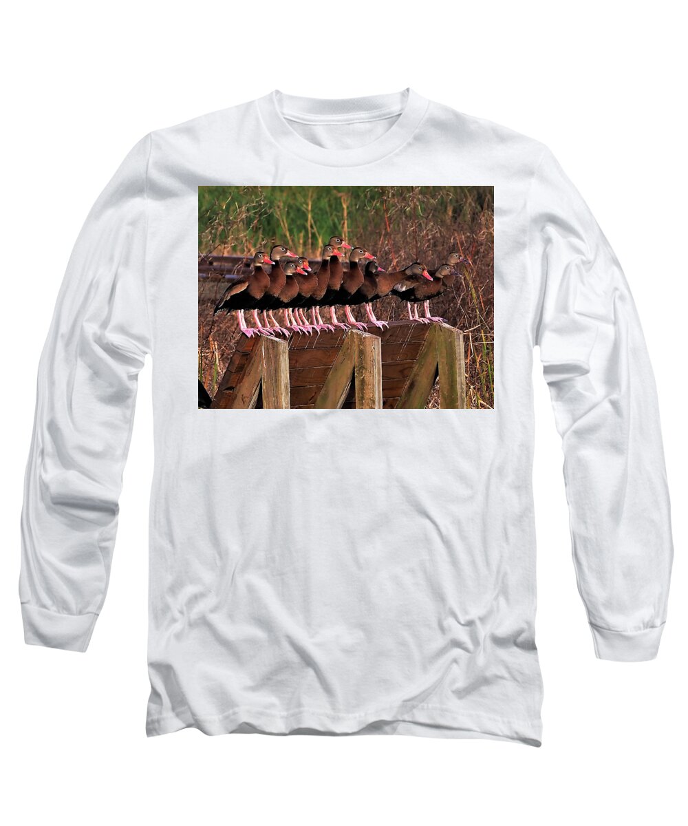 Ducks Long Sleeve T-Shirt featuring the photograph Black Bellied Whistling Ducks by Jerry Connally