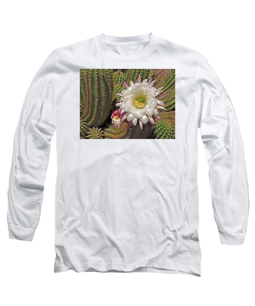 Argentinian Giant Long Sleeve T-Shirt featuring the photograph Cactus Blossom 3 by Lynda Lehmann