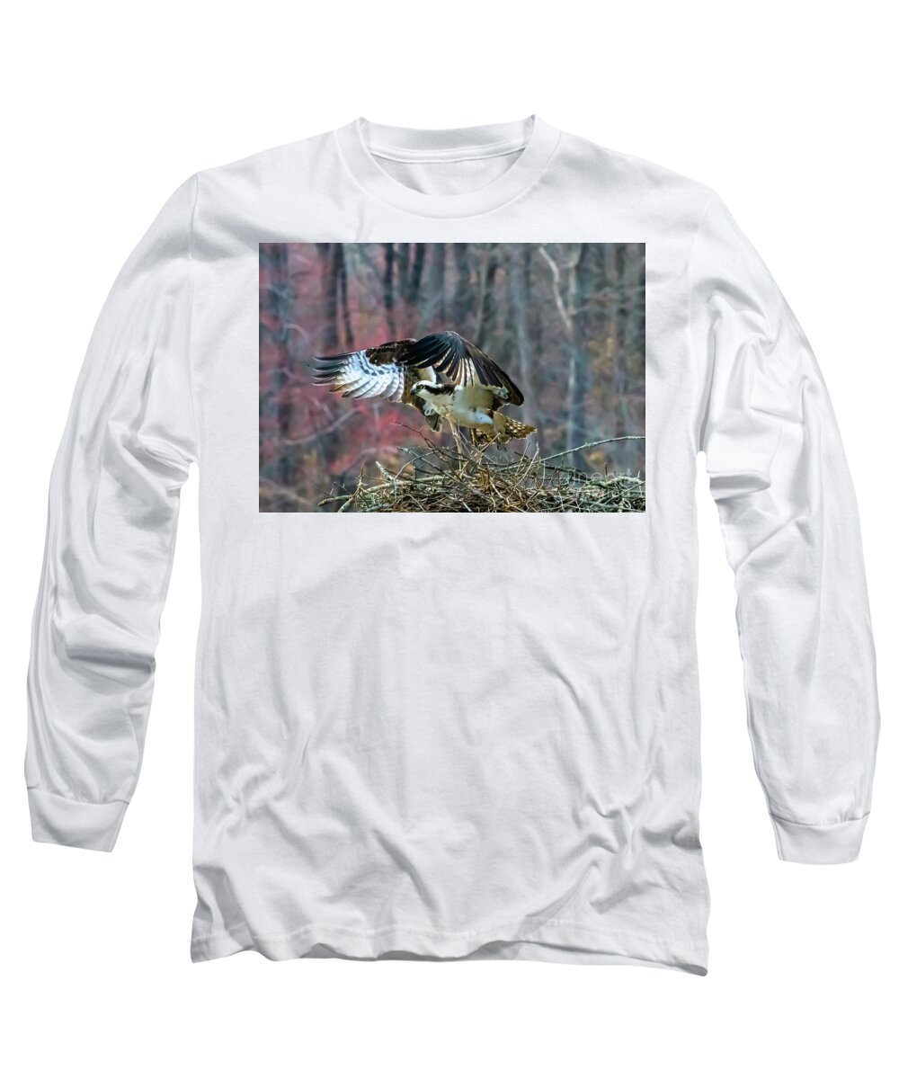 Osprey Long Sleeve T-Shirt featuring the photograph Coming Up by Phil Cappiali Jr