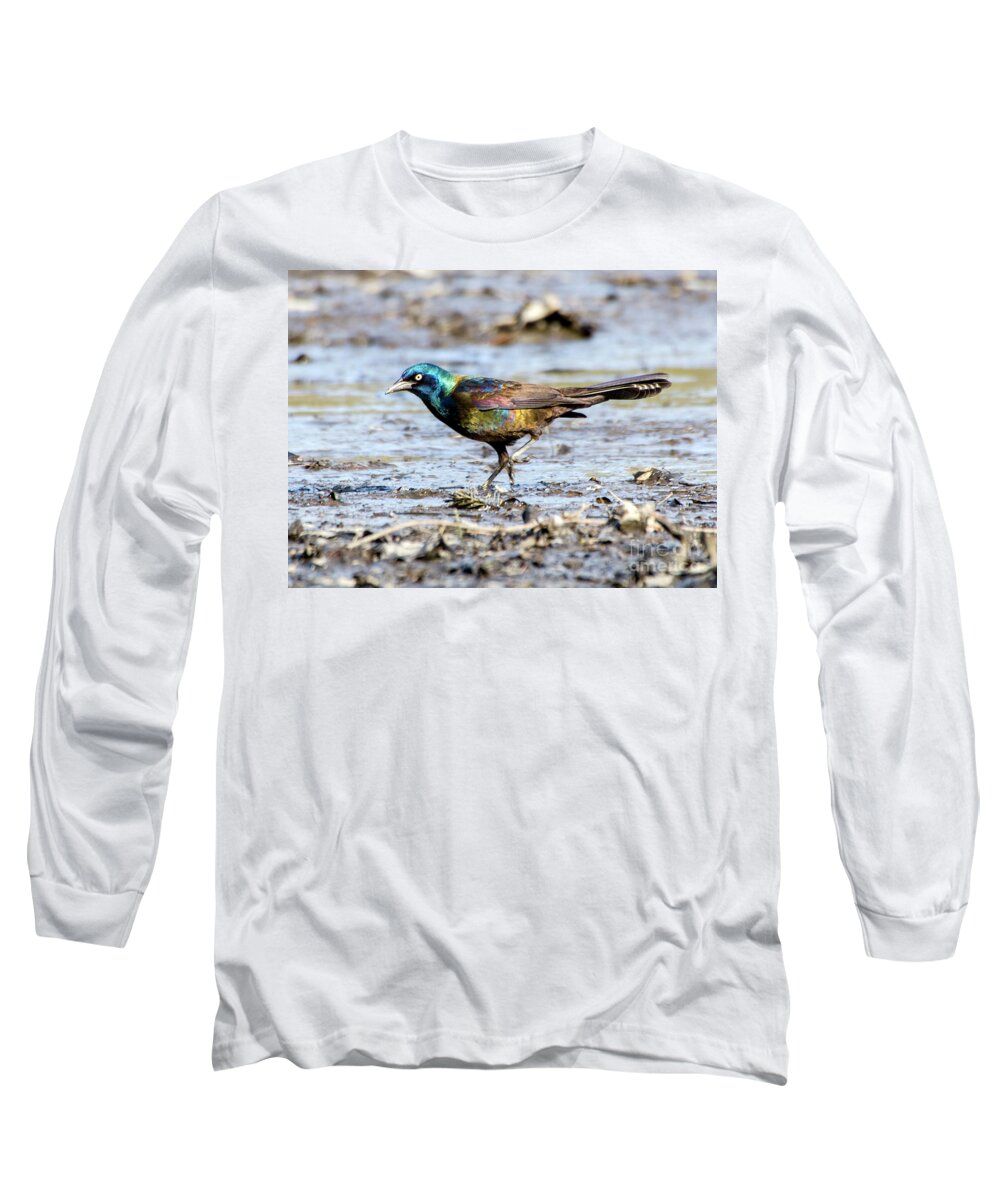 Drained Rosemary Lake Long Sleeve T-Shirt featuring the photograph Common Grackle on Drained Rosemary Lake by Ilene Hoffman