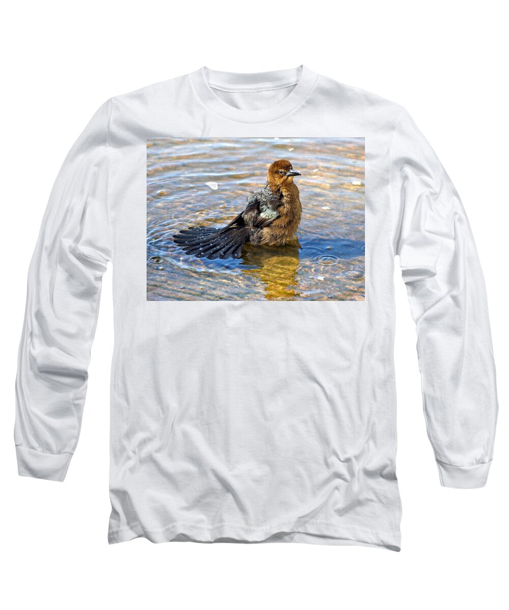 Grackle Long Sleeve T-Shirt featuring the photograph Female Boat-tailed Grackle is Taking a Splash Bath by Lyuba Filatova