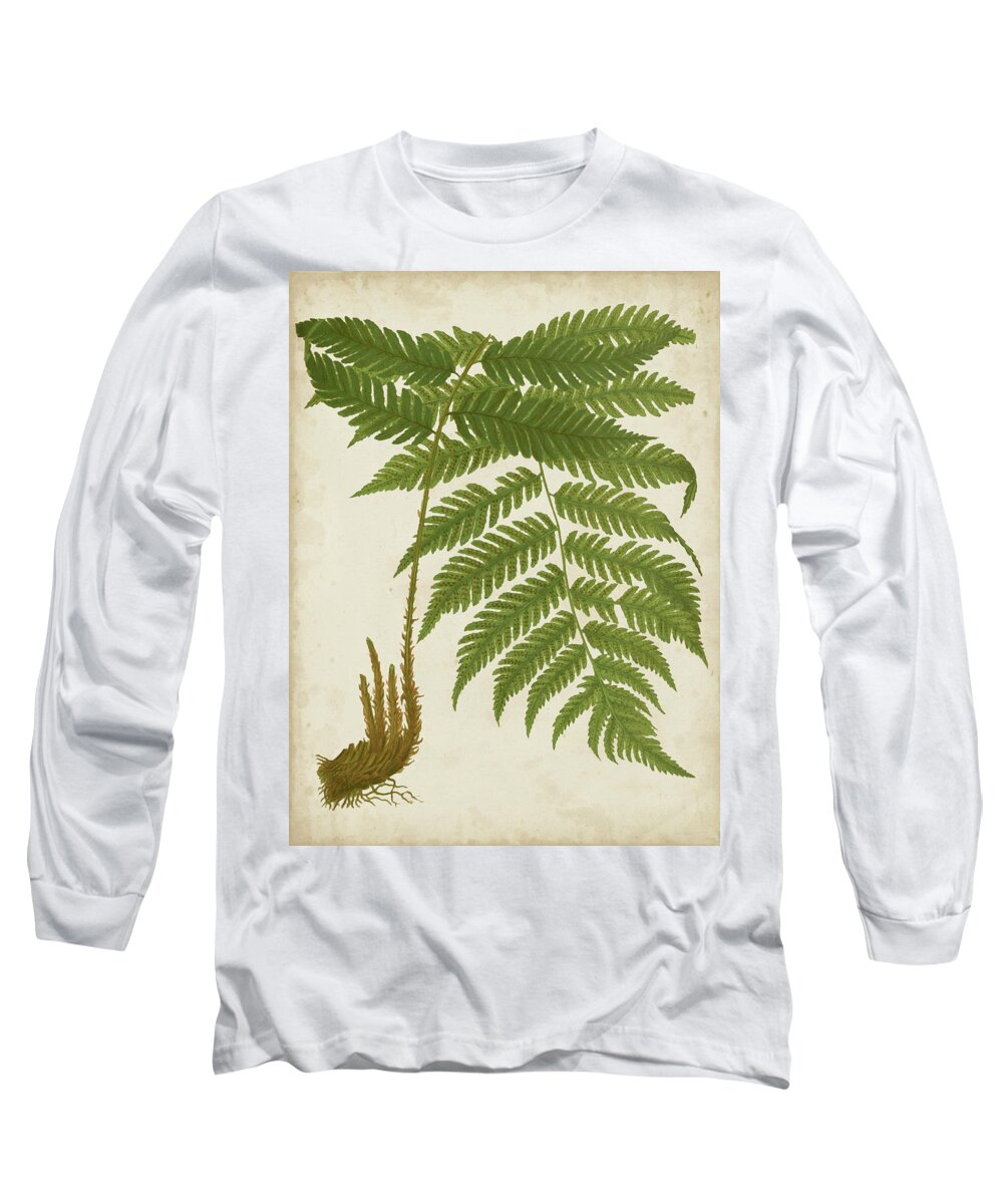 Botanical & Floral+ferns+botanical Study Long Sleeve T-Shirt featuring the painting Fern Trio II by Vision Studio