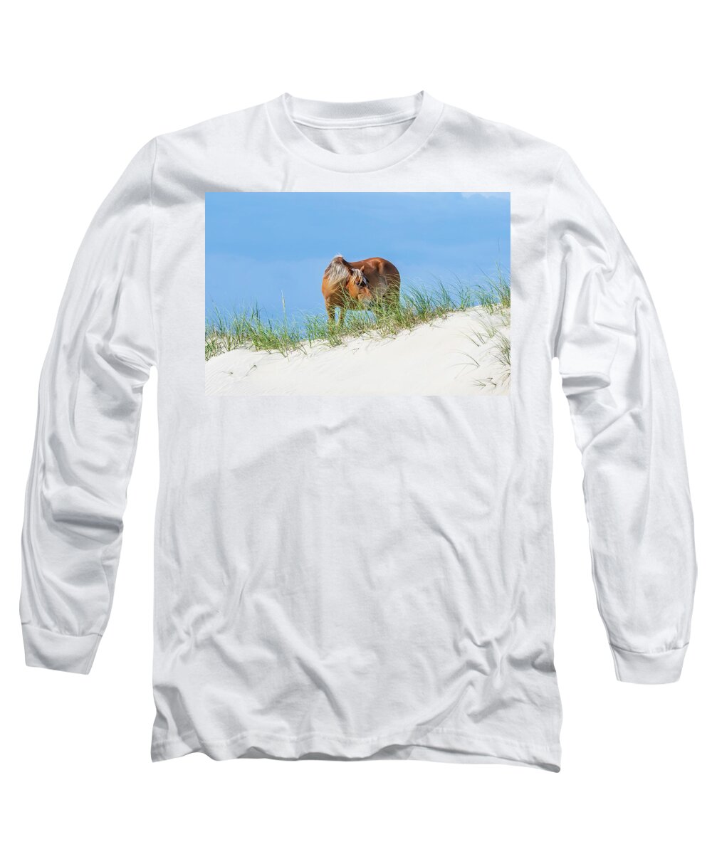 Animals Long Sleeve T-Shirt featuring the photograph Flaxen Maned Mare by Donna Twiford