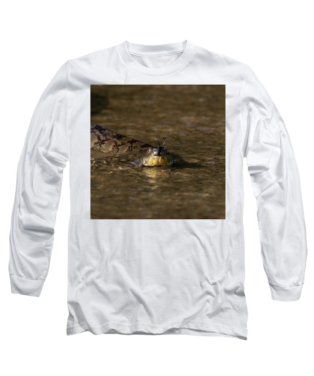 Snake Long Sleeve T-Shirt featuring the photograph Forked Tongue by Patrick Nowotny