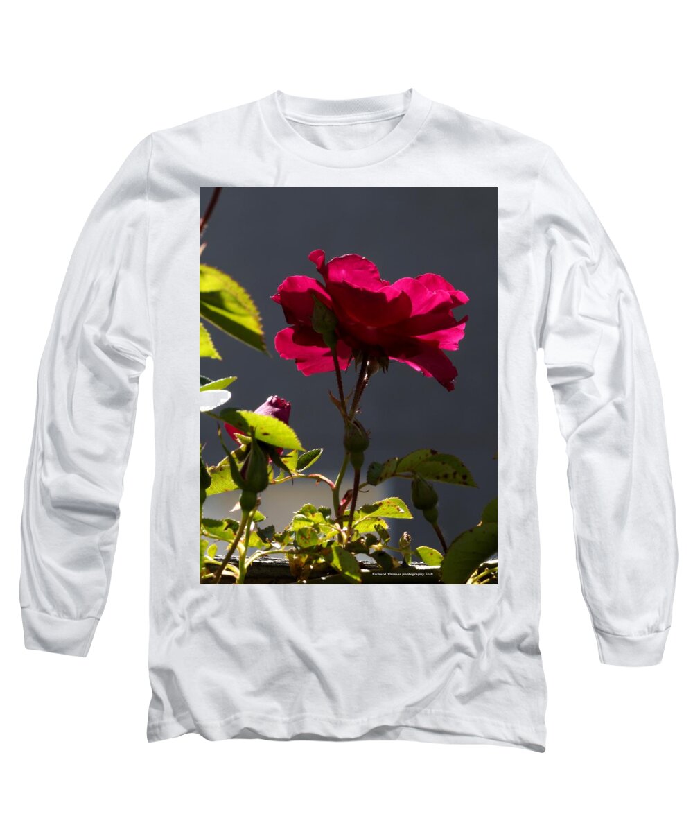 Botanical Long Sleeve T-Shirt featuring the photograph Good Afternoon Rose by Richard Thomas