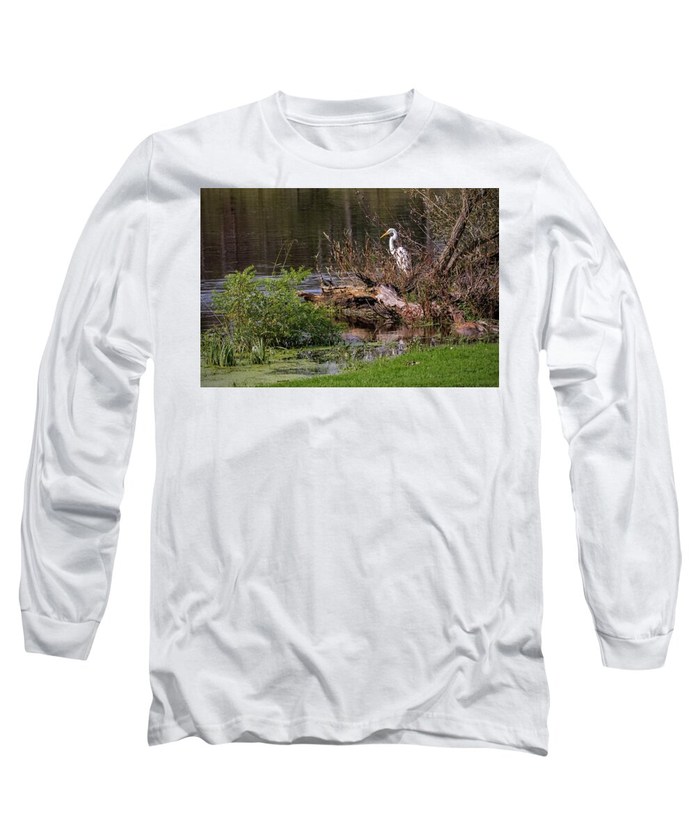 Bird Long Sleeve T-Shirt featuring the photograph Great Egret at River's Edge by Ira Marcus