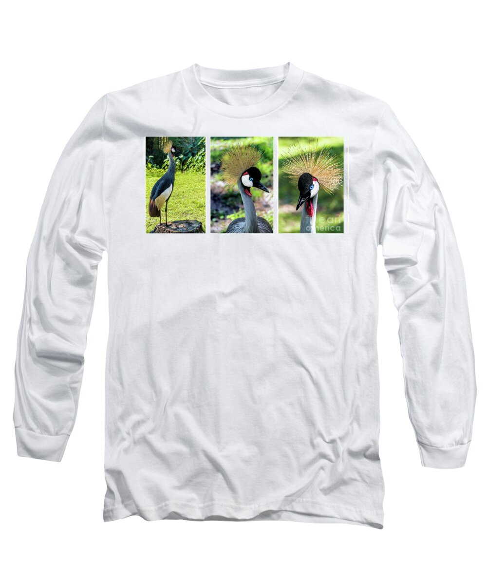 Gulf Long Sleeve T-Shirt featuring the photograph Grey Crowned Crane Gulf Shores Al Collage 4 Triptych by Ricardos Creations