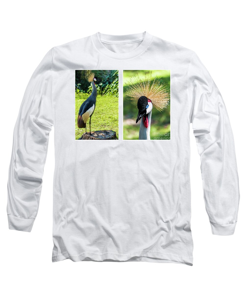 Gulf Long Sleeve T-Shirt featuring the photograph Grey Crowned Crane Gulf Shores Al Collage 8 Diptych by Ricardos Creations
