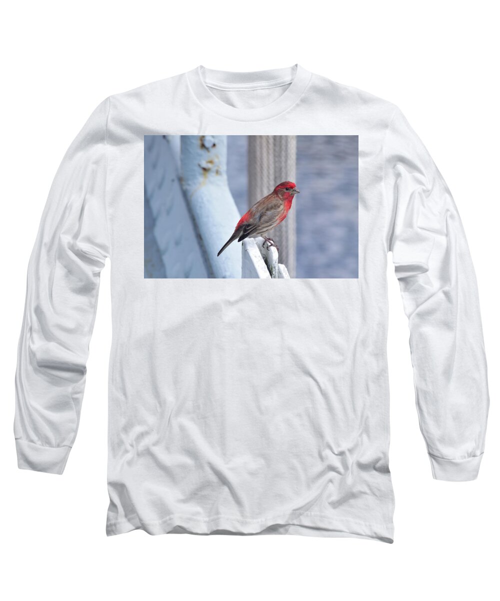Finch Long Sleeve T-Shirt featuring the photograph House Finch on the U.S.S. Wisconsin by Nicole Lloyd