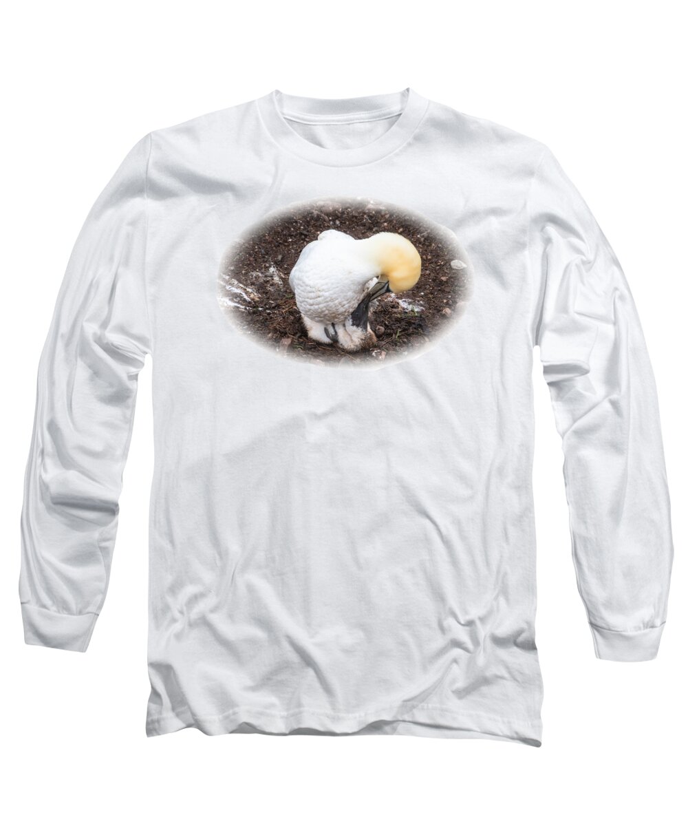 Northern Gannet Long Sleeve T-Shirt featuring the photograph I'll Love you Forever by Marlin and Laura Hum