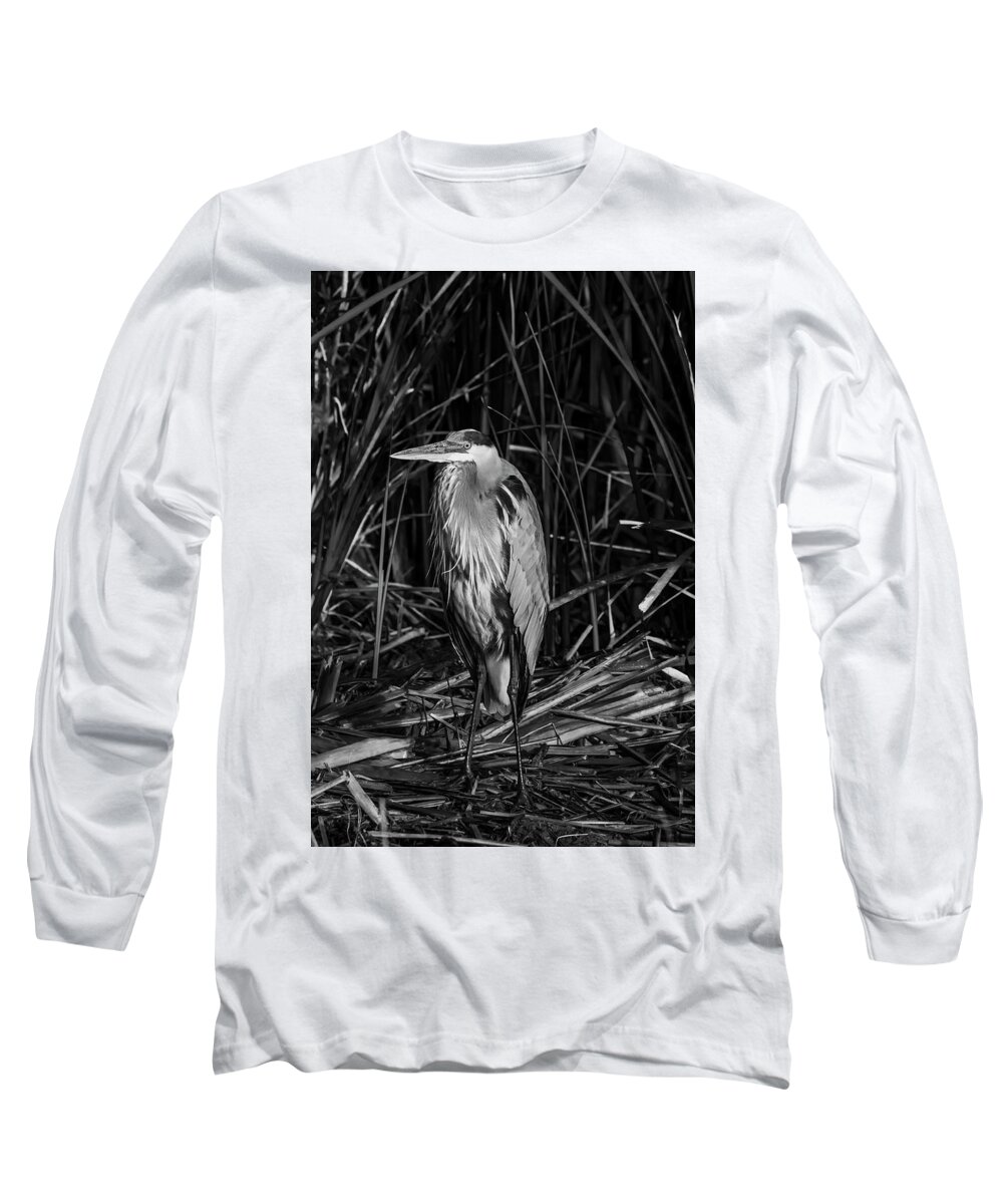 Birds Long Sleeve T-Shirt featuring the photograph In A Daze by Ray Silva