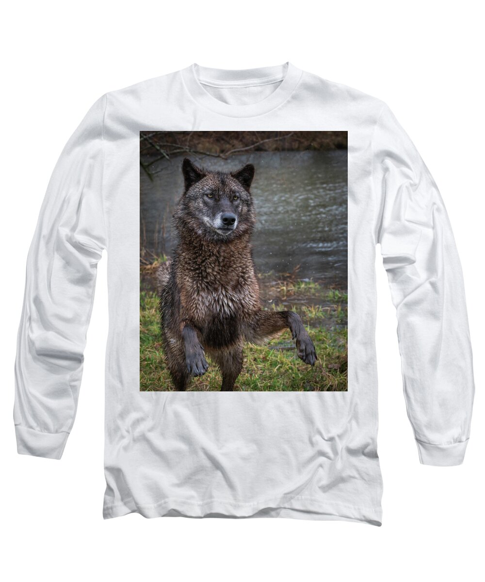 Black Wolf Wolves Long Sleeve T-Shirt featuring the photograph Jumping Boy by Laura Hedien