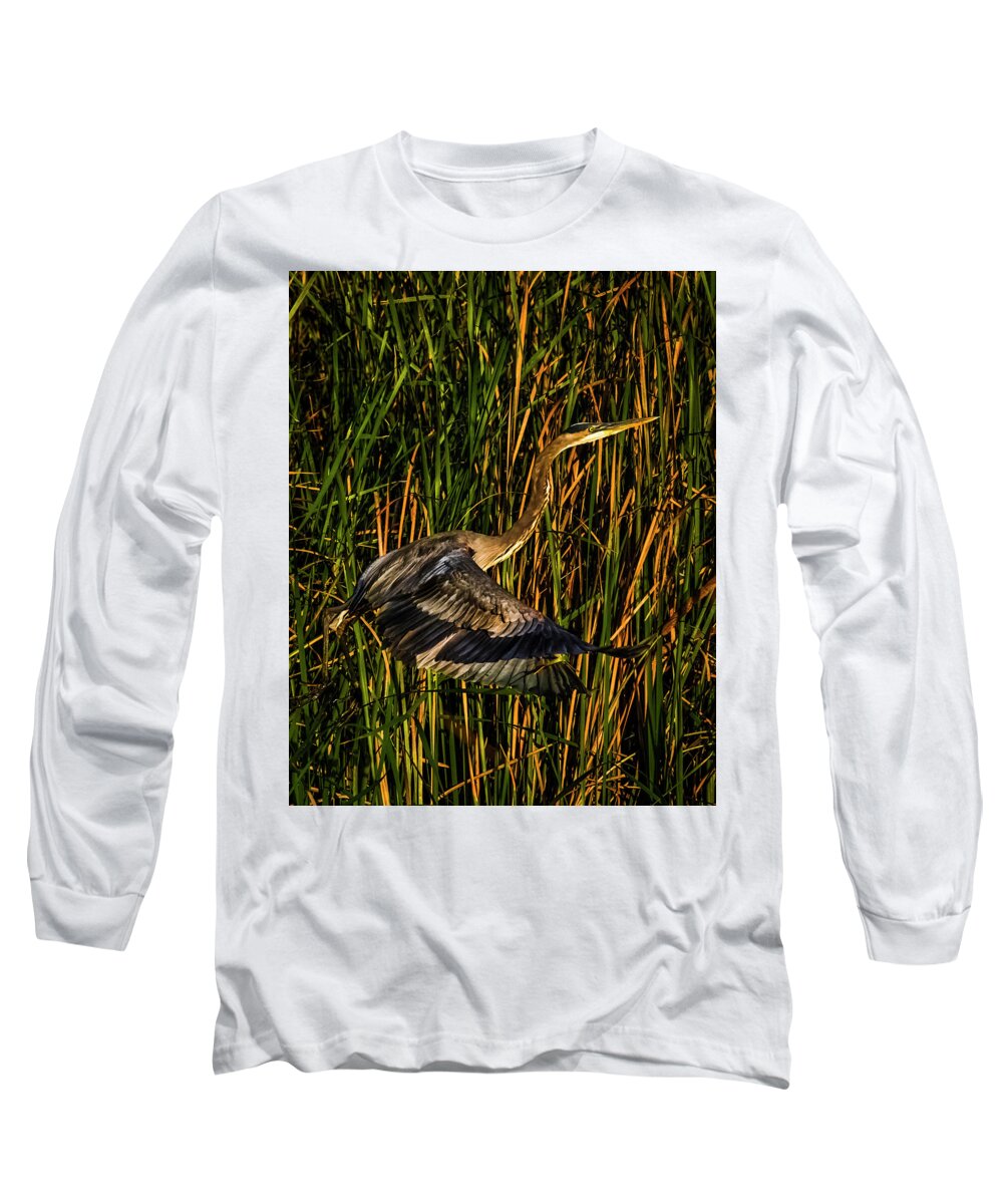 Birds Long Sleeve T-Shirt featuring the photograph Lift by Ray Silva