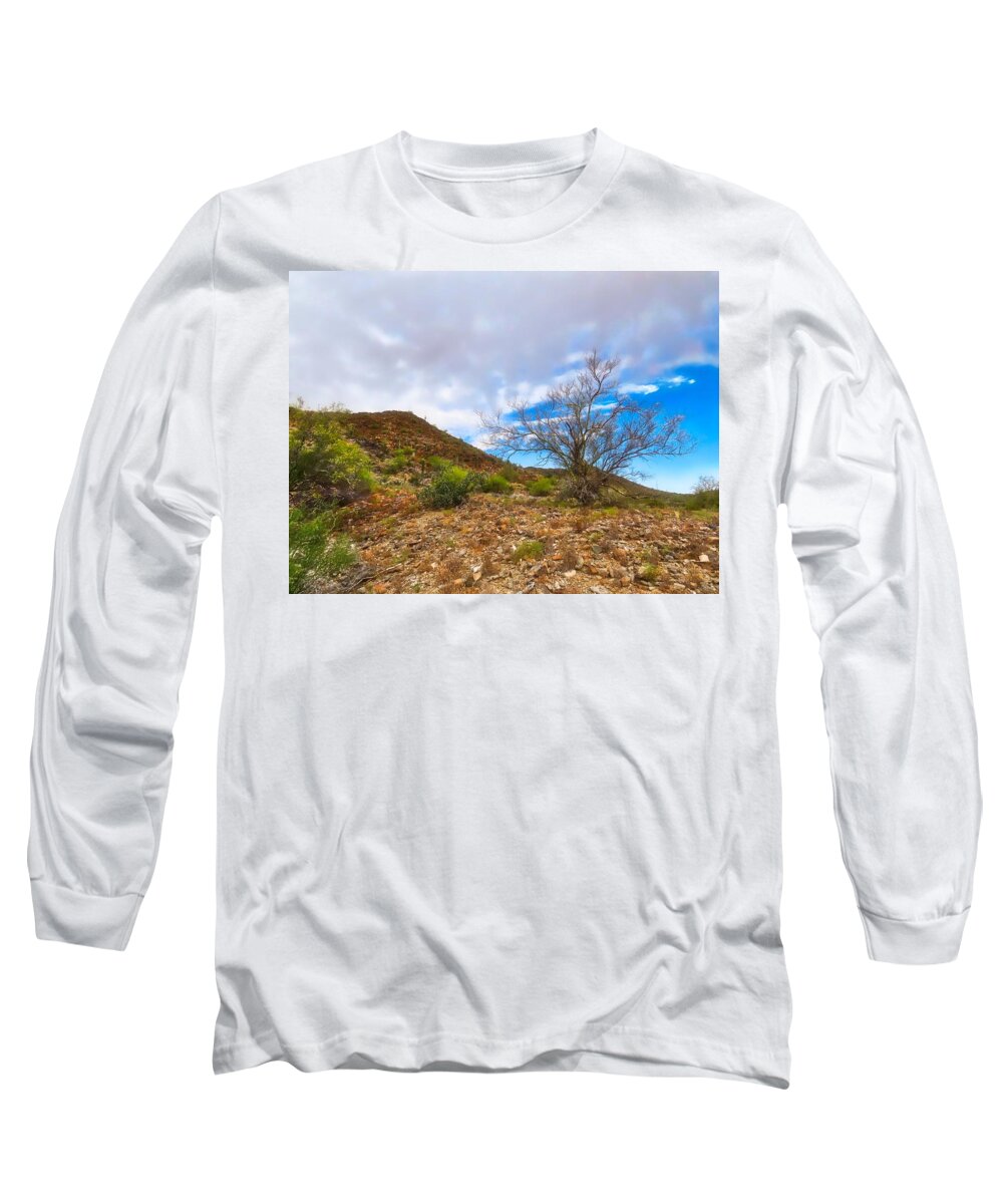Arizona Long Sleeve T-Shirt featuring the photograph Lone Palo Verde by Judy Kennedy