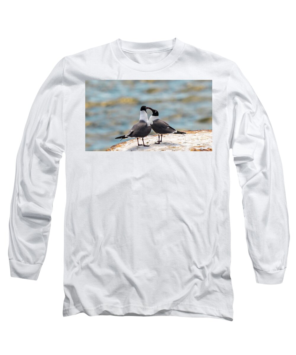 Love Long Sleeve T-Shirt featuring the photograph Love Birds by Dheeraj Mutha