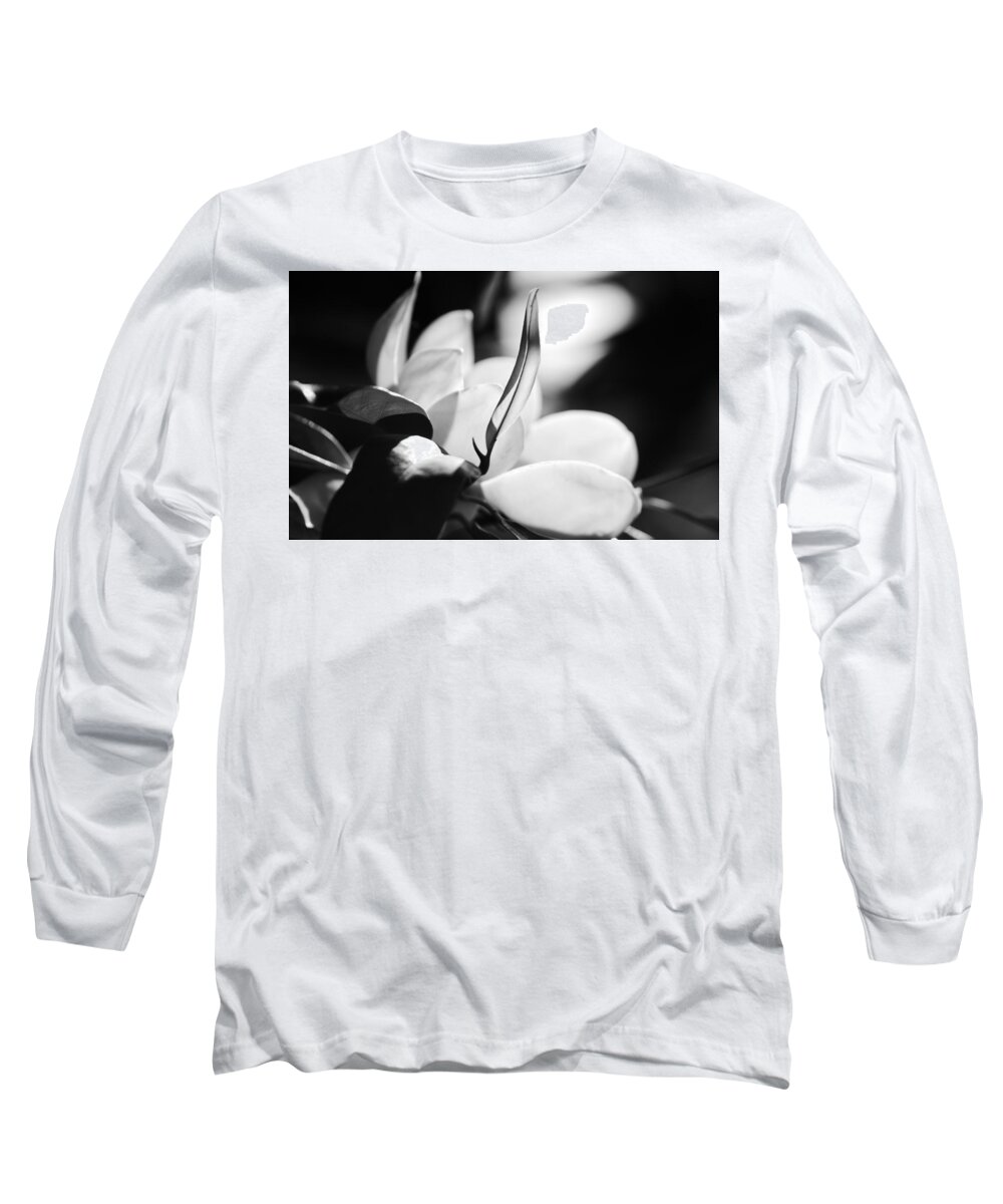 Jane Ford Long Sleeve T-Shirt featuring the photograph Magnolia flower by Jane Ford