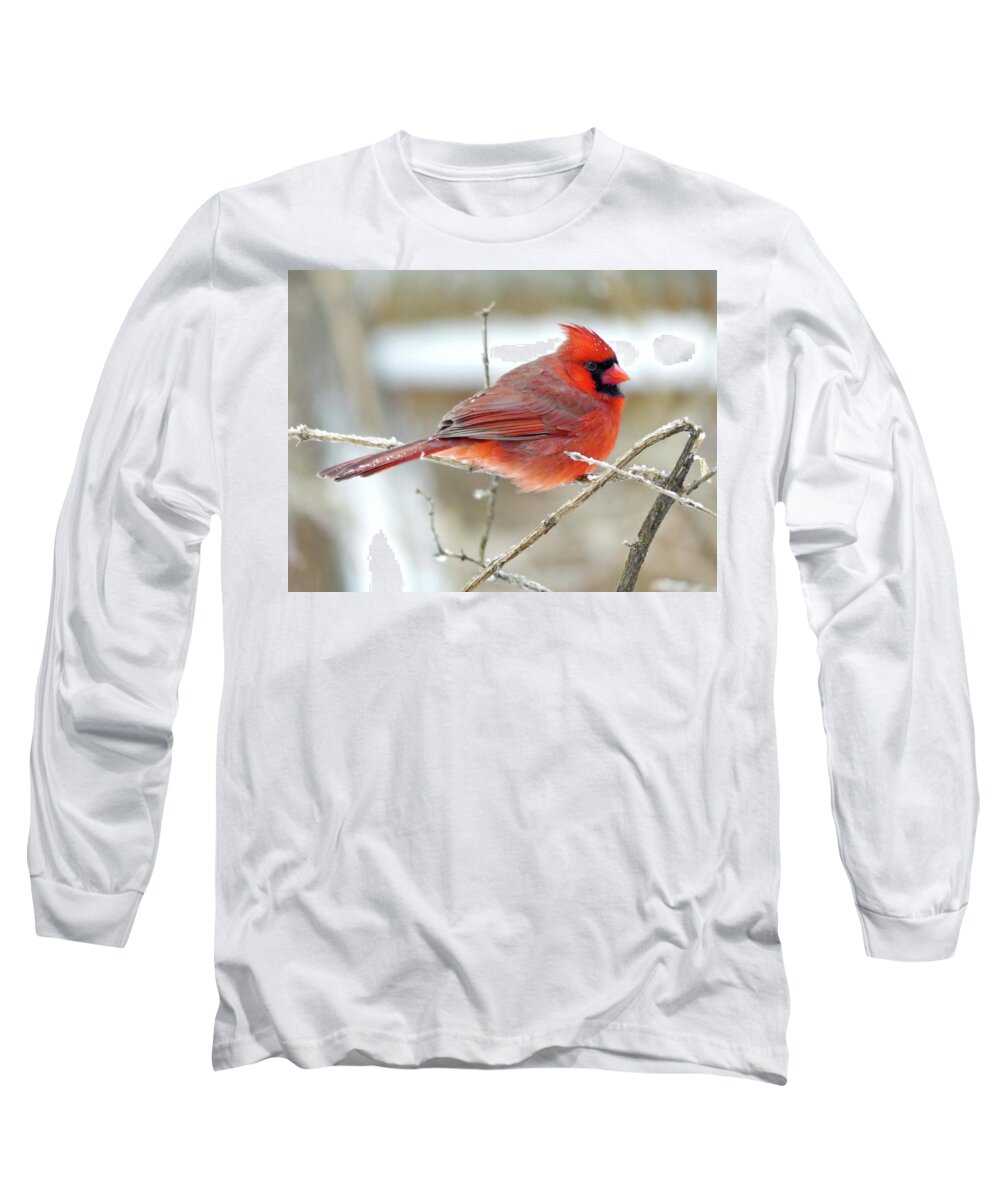 Northern Cardinal Long Sleeve T-Shirt featuring the photograph Northern Cardinal Male in Winter by Lyuba Filatova