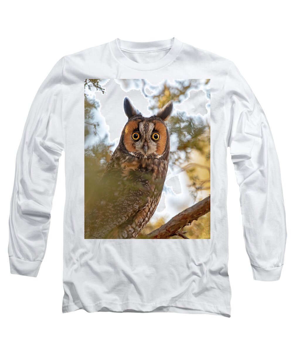 0wls Long Sleeve T-Shirt featuring the photograph Owl Surprise #1 by Mindy Musick King