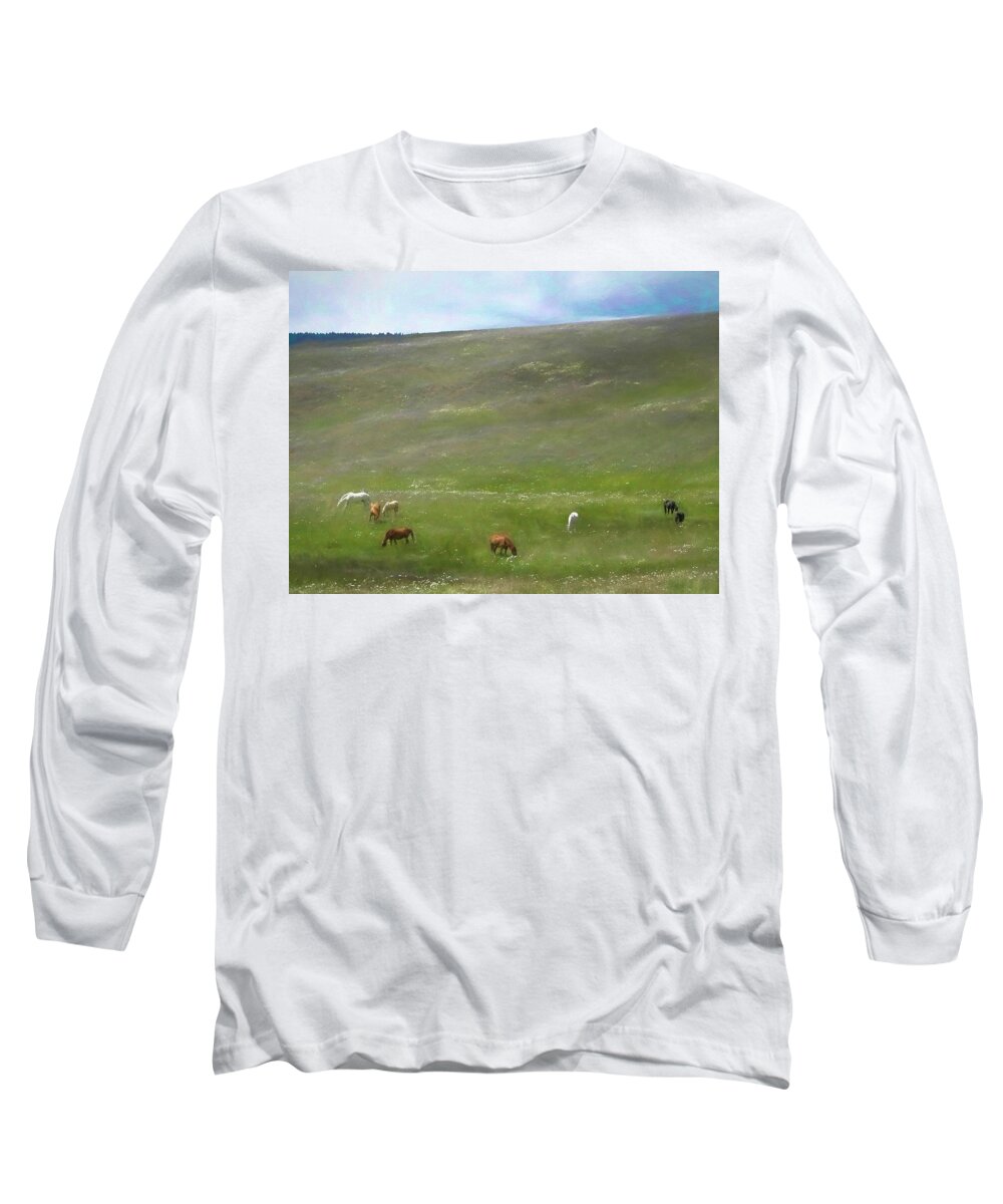 Horses Long Sleeve T-Shirt featuring the photograph Pastoral Pasture by Allan Van Gasbeck