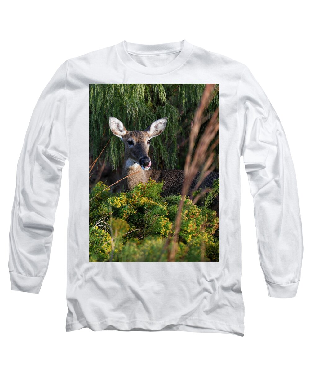 Florida Long Sleeve T-Shirt featuring the photograph Portrait of a Doe by T Lynn Dodsworth