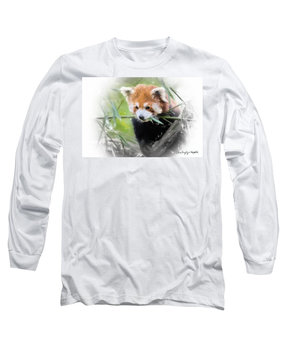 Red Panda Long Sleeve T-Shirt featuring the painting Red Panda by Chris Armytage