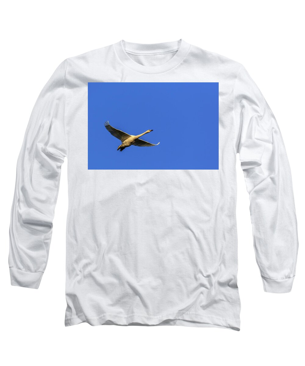 Skagit Valley Long Sleeve T-Shirt featuring the photograph Requesting Permission to Land by Briand Sanderson