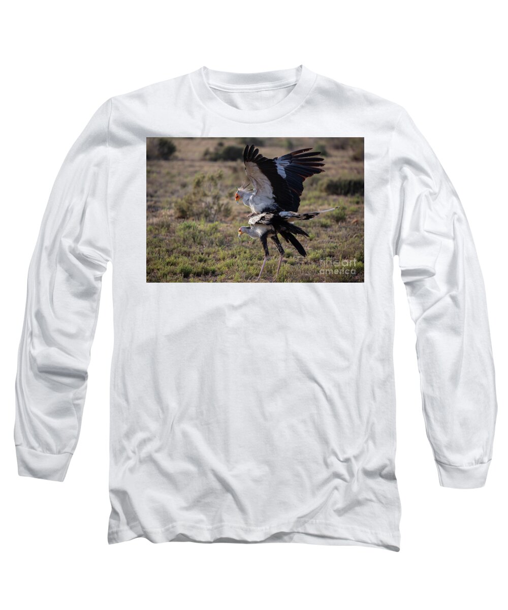 Secretary Bird Long Sleeve T-Shirt featuring the photograph Secretary Birds Mating by Eva Lechner