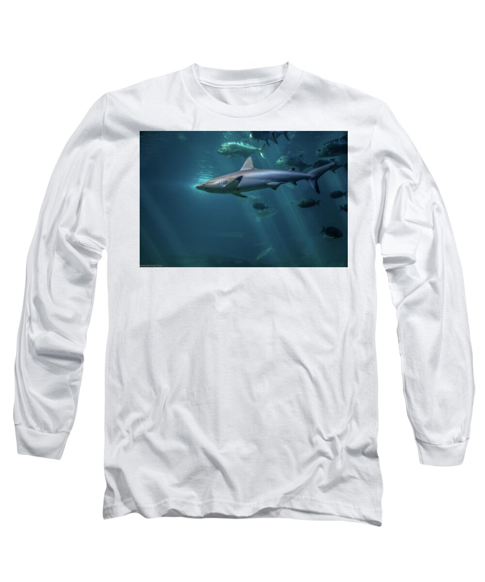 Hawaii Long Sleeve T-Shirt featuring the photograph Shark Attack by G Lamar Yancy