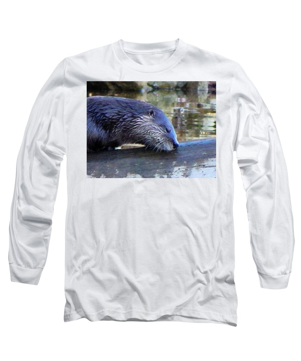 Animals Long Sleeve T-Shirt featuring the photograph Sleeping Otter by Karen Stansberry
