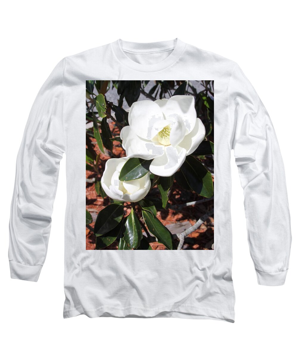 Snowy Long Sleeve T-Shirt featuring the photograph Snowy White Gardenia Blossoms by Philip And Robbie Bracco