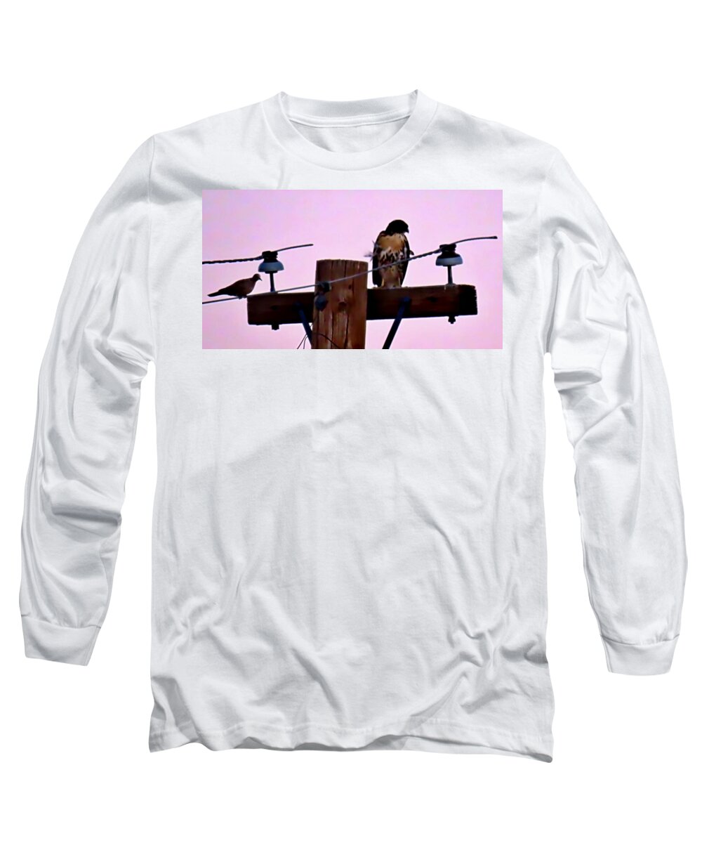 Affordable Long Sleeve T-Shirt featuring the photograph The Hawk and the Dove After Sundown by Judy Kennedy